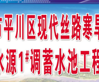 Introduction to the Modern Silk Road Cold and Drought Efficient Agricultural Water Source Engineering Project in Pingchuan District